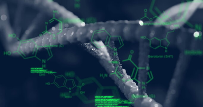Image of chemical structures and data processing over dna strand spinning
