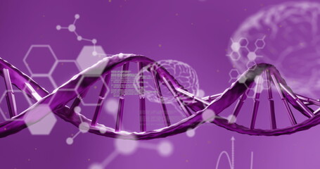 Image of chemical structures, human brains and data processing over dna strand spinning