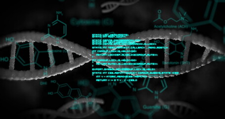 Image of dna rotating over scientific data on black background