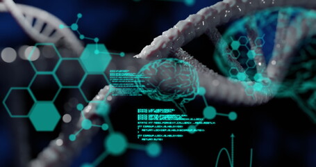Image of dna rotating over scientific data on black background