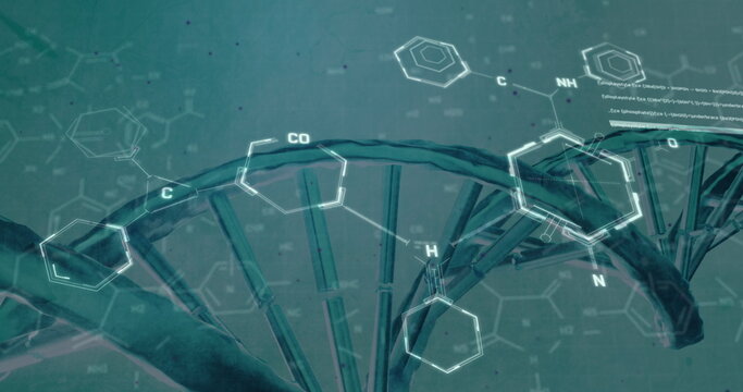 Image of chemical structures and data processing over dna strand spinning