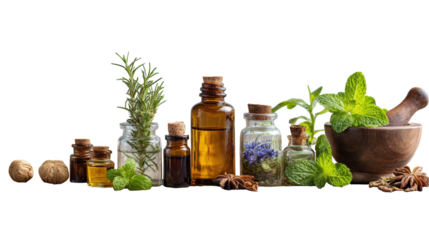 Arranging bottles of essential oils, fresh herbs like rosemary and mint, and a mortar and pestle on a transparent background, suggesting natural remedies and aromatherapy