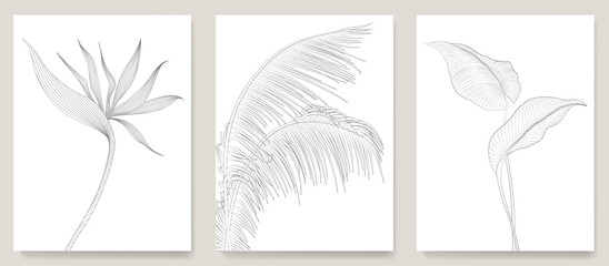 Botanical art set with black and white tropical leaves and flowers hand drawn in line style. Vector set with exotic plants for banner, background, print, poster, wallpaper, interior.