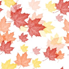 Seamless pattern of autumn yellow, orange, red maple leaves on a white background 