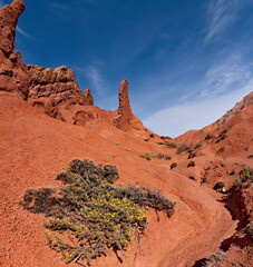 Northern Kyrgyzstan. Picturesque views of the famous Skazka Canyon, the clay mountain peaks of...