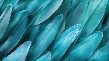  Iridescent Detail: Macro Photo of Blue and Green Macaw Feathers

