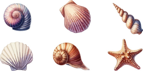 Seashells icons collection. Starfishes and seashells vector icons .Marine Shell illustration isolated. Scallop,conch shell , snail icon,corals.