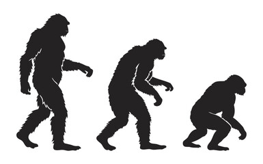 Progressive Human Ancestor Silhouettes Demonstrating Evolutionary Stages in Black