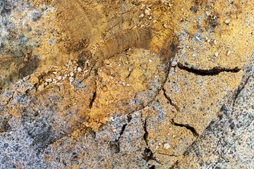 Close-up of cracked ground surface with shoe print showing complex texture