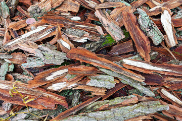 Wood chips scattered on the ground in a garden area surrounded by greenery