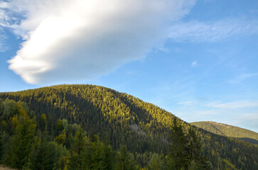 Majestic mountain covered with dense pine forest under vast blue sky, highlighted by a striking...