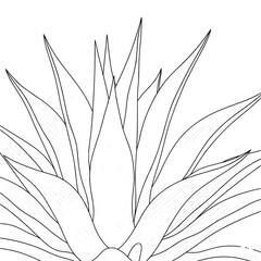 vector illustration of a plant