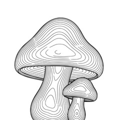 vector illustration of a mushroom