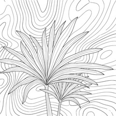 black and white abstract background