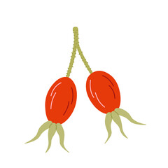 Rose hip fruit. Hand drawn icon of branch with berries in sketch doodle style. Isolated vector illustration.