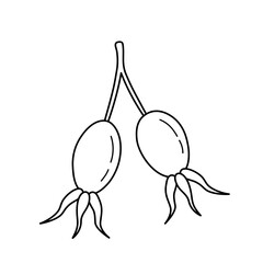 Rose hip fruit. Hand drawn icon of branch with berries in sketch doodle style. Isolated vector illustration.
