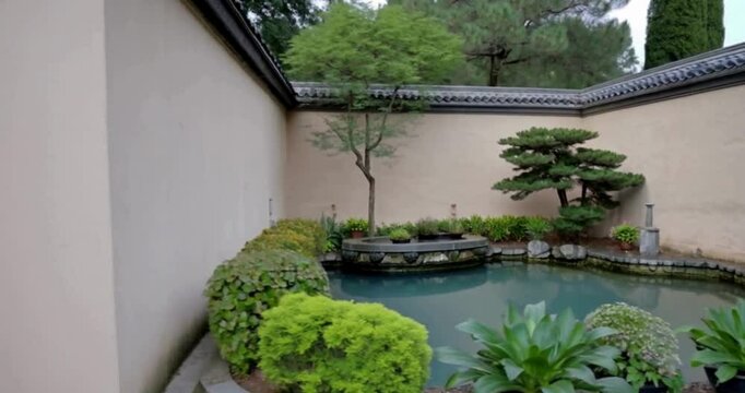 small pond in garden in home backside