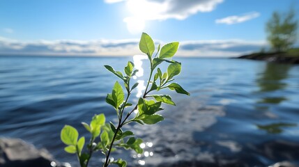 Obraz premium Tranquil Lake Scene with Sunlight on Green Leaves