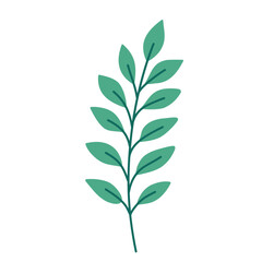 Leaf vector colorful on transparent background