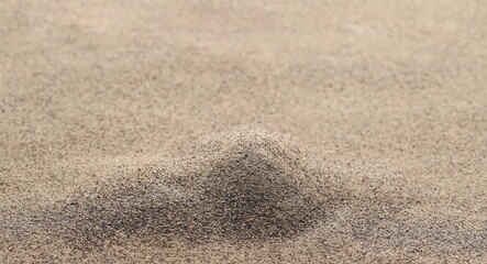 Black ground pepper, spice background and texture, side view