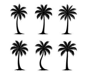  Palm Tree Silhouette Vector Illustration on white background