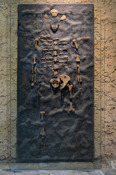 A demonstration of the discovery of the skeletal remains of the legendary Lucy.
