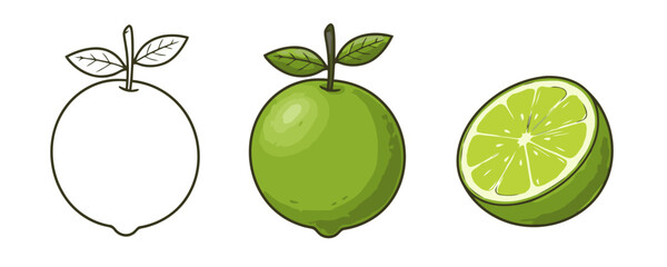 Three stylized illustrations of a lime: first, a simple outline; second, a full, vibrant green lime with leaves; and third, a bright green lime cut in half, revealing its juicy interior