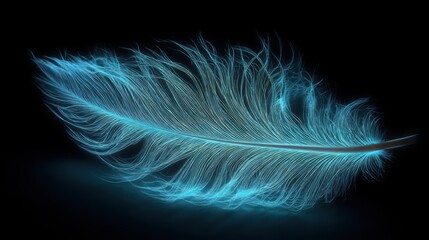 Obraz premium Light blue feather graphic design