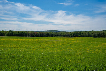 Photo du champ et colline à l’horizon
