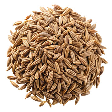 Pile of caraway seeds isolated on transparent background