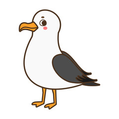 Seagull coastal bird  vector illustration isolated on white background

