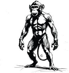 Fototapeta premium Monkey illustration on white background