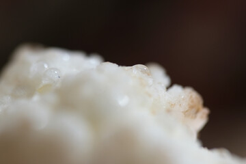 Cauliflower can develop brown spots due to oxidation, a chemical reaction from prolonged exposure to light and air.