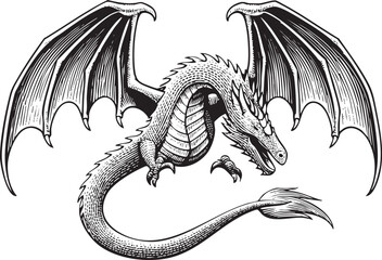 Obraz premium majestic black dragon gracefully coils displaying its wings and tail.