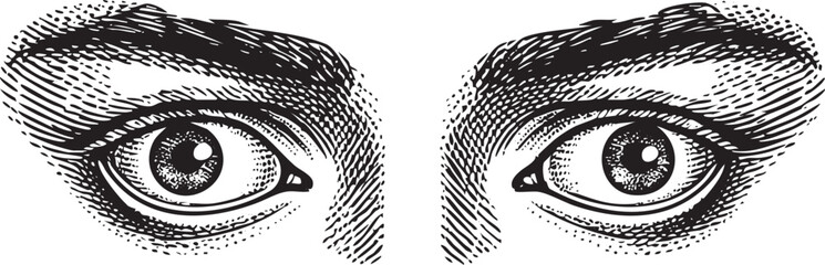 Two eyes gaze intently at the viewer framed by dark eyebrows.