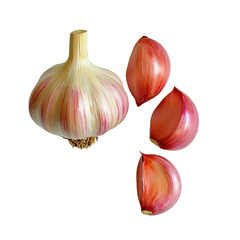 Fresh Organic Garlic Bulb with Cloves Isolated on White Background for Culinary and Dietary Purposes transparent background, png