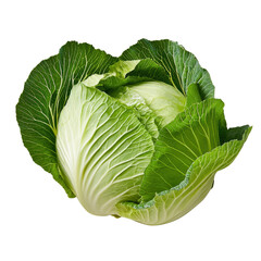 Fresh Green Cabbage with Crisp Leaves on Isolated White Background for Culinary and Healthy Eating...