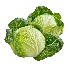 Fototapeta premium Fresh Green Cabbage Heads with Crisp Leaves Isolated on a White Background for Healthy Food Concept transparent background, png