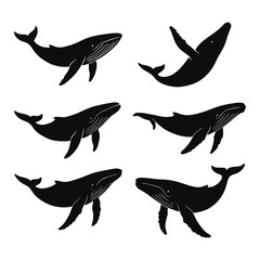 Whale (Humpback) Silhouette Vector Illustration on white background