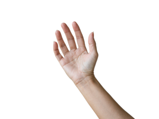 Female right hand arm raise up. Isolated on transparent background.
