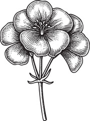 Obraz premium detailed black and white of a blooming flower.