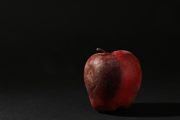 One rotten red apple on black background. Space for text