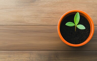 A small green seedling grows in a brown pot on a wooden surface, symbolizing new beginnings and growth.