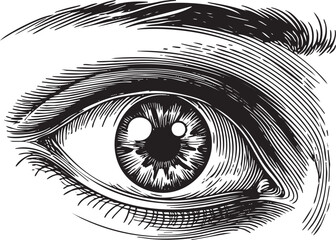 Naklejka premium detailed close-up rendering of a human eye with intricate linework.