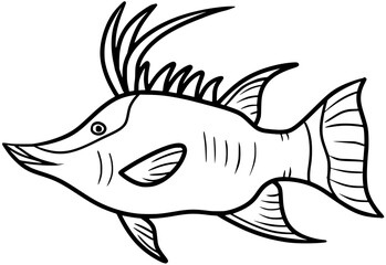 Hogfish Vector Outline Line Art Illustration Drawing