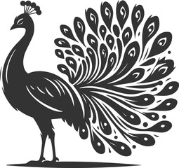 Black vector design silhouette of a peacock drawing