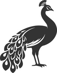Black vector design silhouette of a peacock drawing
