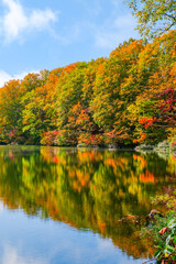 仙人池　秋　紅葉