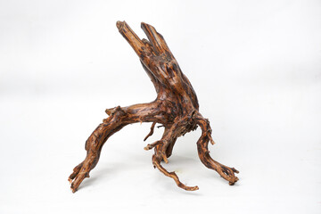 Artistic Natural Driftwood Root with Sharp Branches on White Background