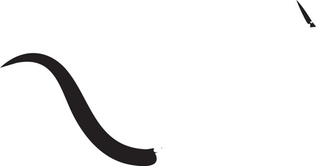 Obraz premium sleek black cat gracefully stretches across a white surface.